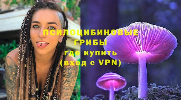таблы Богородск
