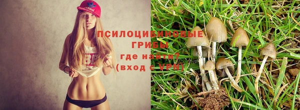MDMA Premium VHQ Богородицк