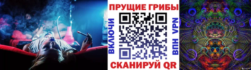 blacksprut ССЫЛКА  наркошоп  Ковылкино  Псилоцибиновые грибы мицелий 