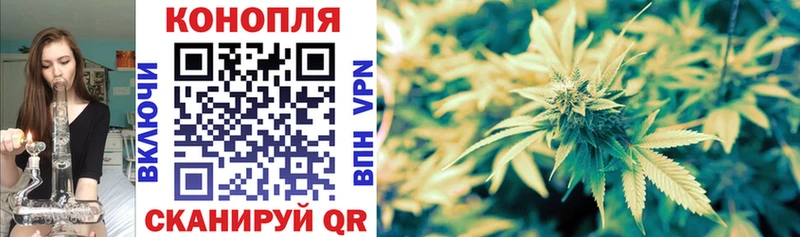 Бошки Шишки OG Kush Ковылкино